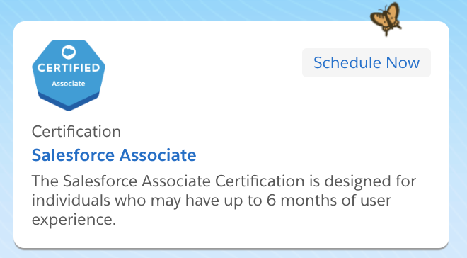 New Salesforce Associate Certification in Town